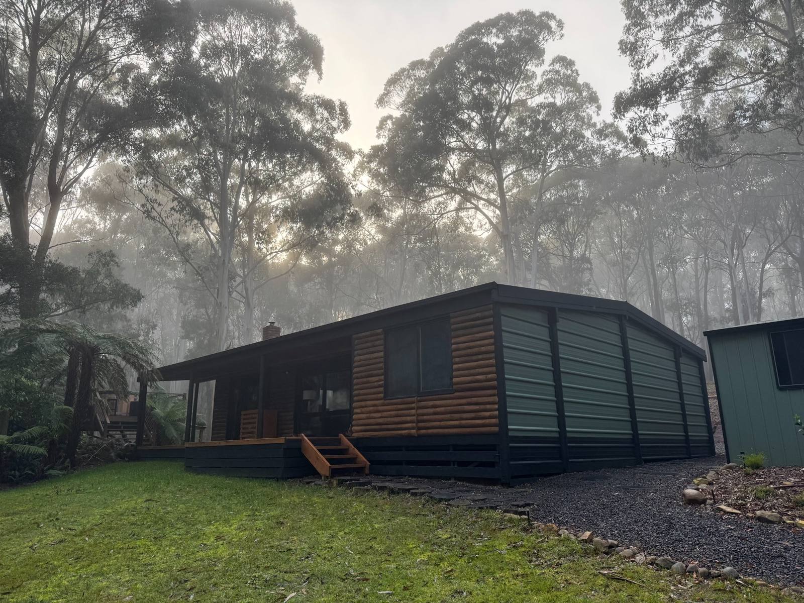 Misty forest surrounding Wilder Romp filming location