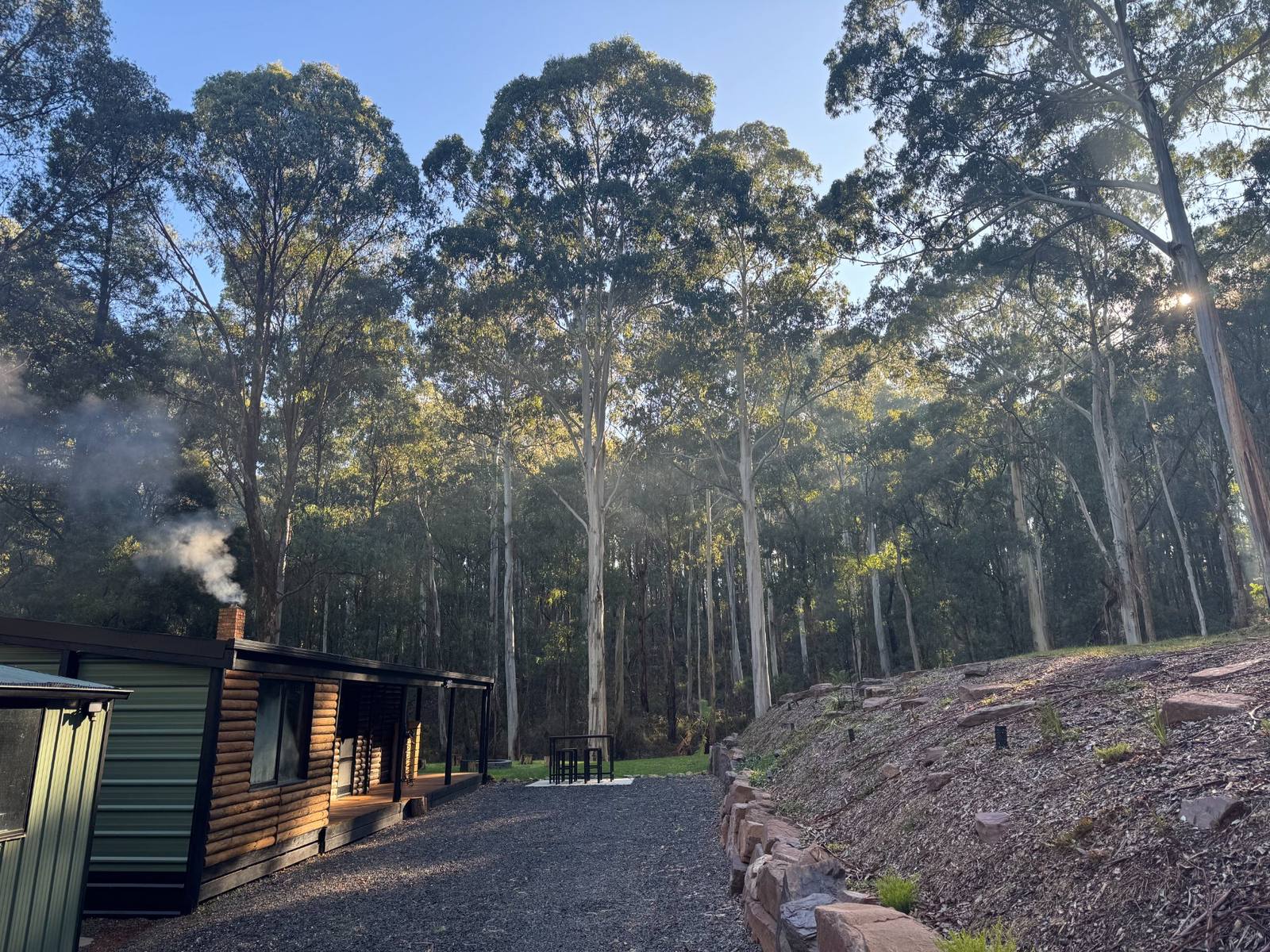 Foggy morning at Wilder Romp cabin near Melbourne
