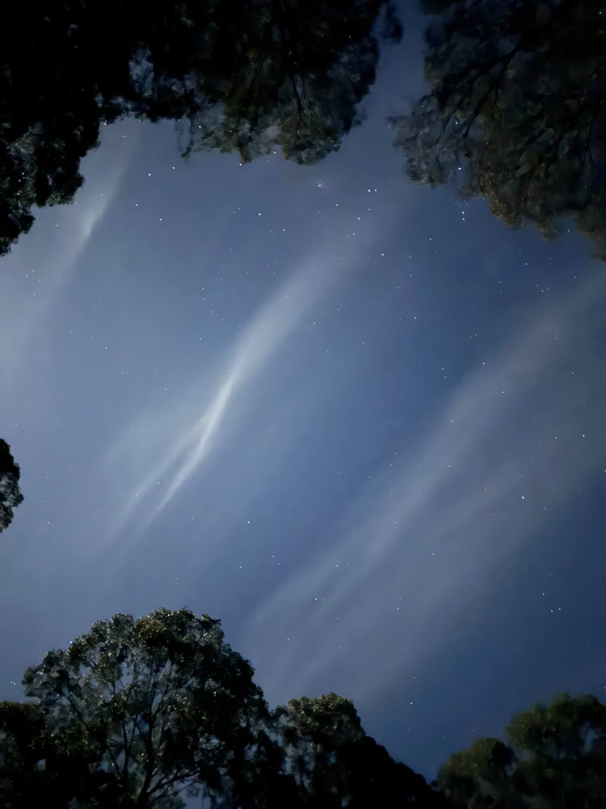Night sky over Wilder Romp cabin in the Yarra Ranges